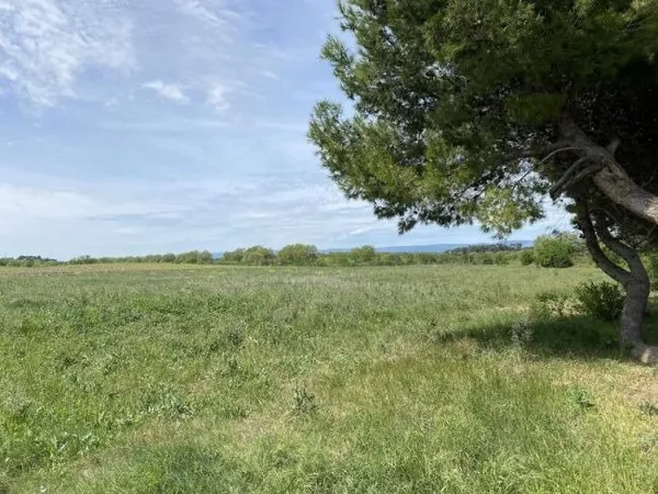 Terrain 1305 m²