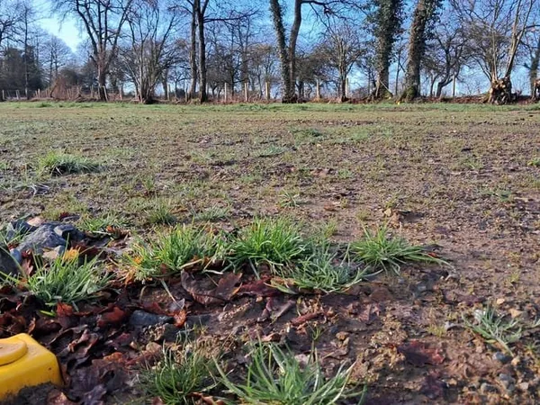 Terrain 317 m²