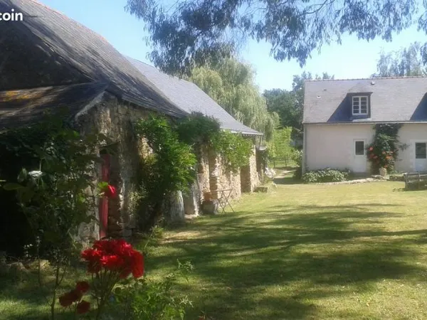 Colocation maison Grez-Neuville