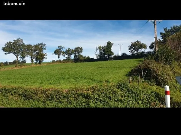 Terrain constructible