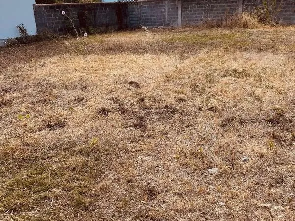 Terrain 267m2 la rochelle