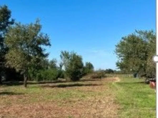 Terrain à bâtir Vente Peyssies  3272m² 255000€