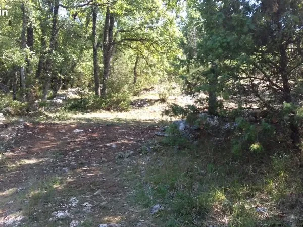 Terrain 11440 m2 Saint-Vallier-De-Thiey