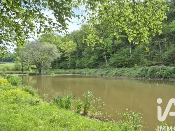 Terrain 20000 m²