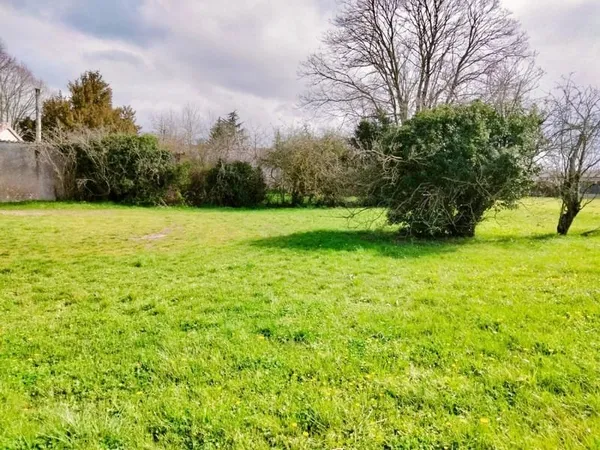 Terrain 787 m²