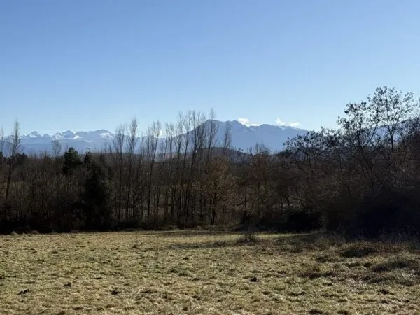 Terrain 2000 m²