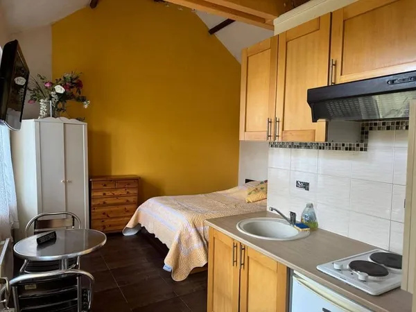 Appartement 1 pièce 25 m²