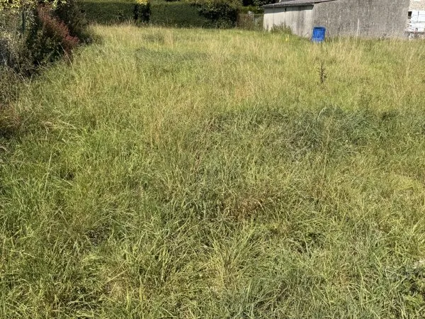 Terrain en individuel 455 m²