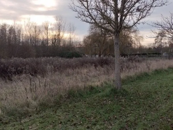 Terrain 1100 m²