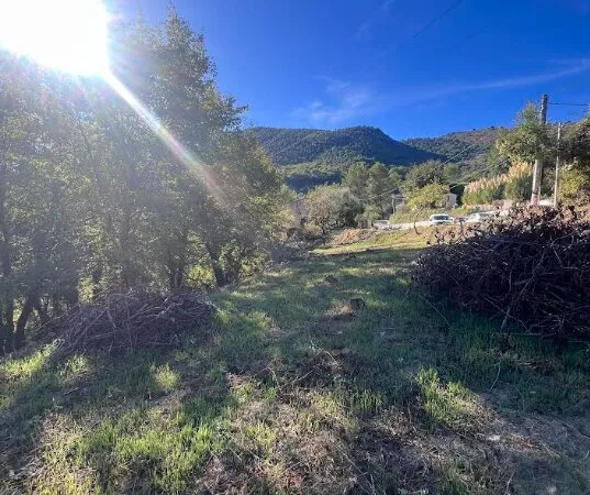 Terrain Constructible d'Exception à Tourrette-Levens : Écrin de Verdure et Vue Dégagée