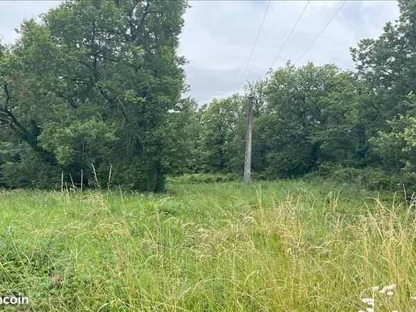 Terrain 9 920 m² Monsempron Libos