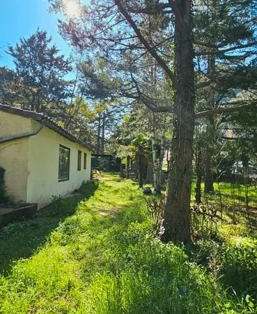 🌿 Casot cadastré 60 m² + 13 ha de terrain