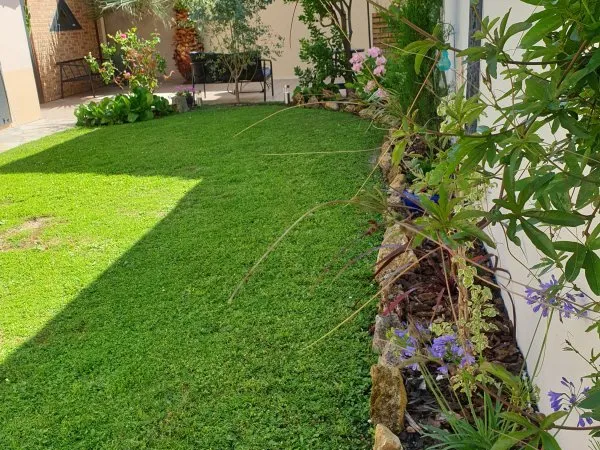 Vends maison avec jardin arboré - 152m²