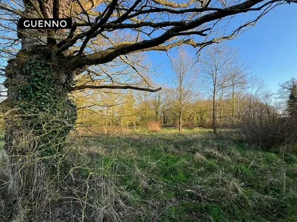 Médréac - 4860 m²