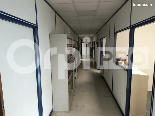 Bureau 310 m²