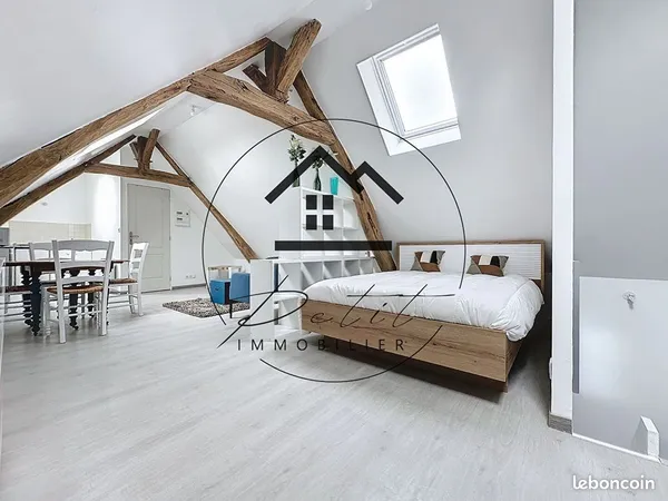 Studio 1 pièce 21 m²
