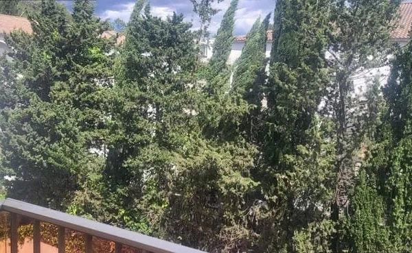 Appartement 1 pièce 26 m²