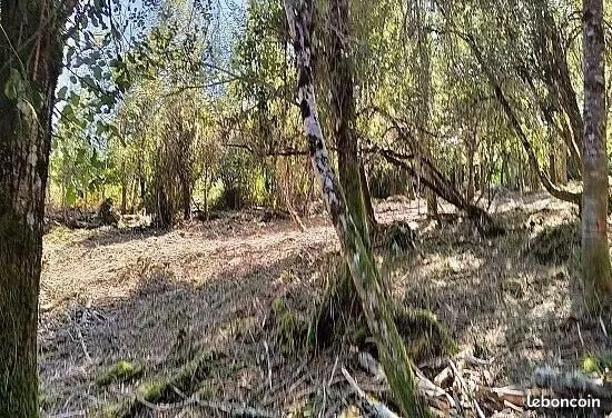 Terrain 1 620 m² Neuvic
