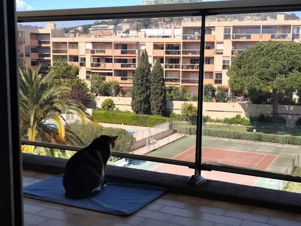 Appartement 2 pièces 29 m²