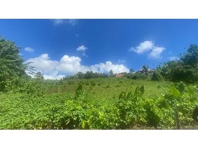 Terrain Constructible Rivière-Salée 719 m2 Zone Ud