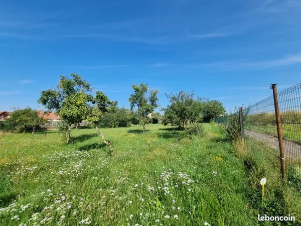 Terrain constructible