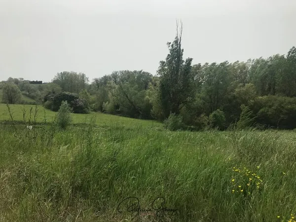TERRAIN A BATIR - PUYLAURENS