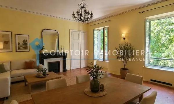 APPARTEMENT BOURGEOIS T6 IDEALEMENT PLACE EN CENTRE-VILLE