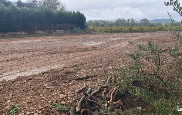 Terrain agricole