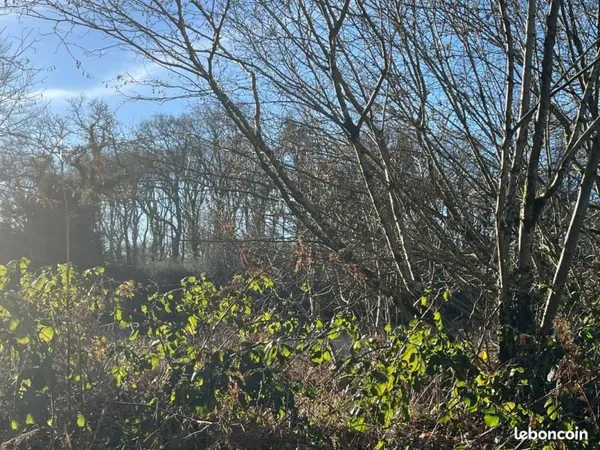 Terrain 6 028 m² Treffrin