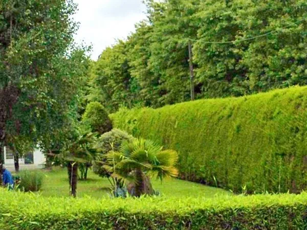 Terrain 500 m²