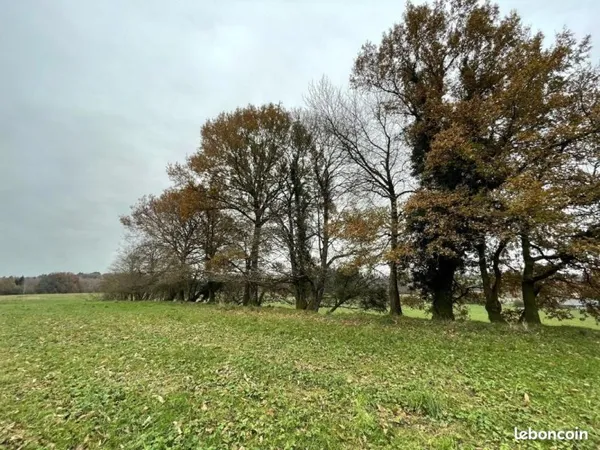 Terrain 31 860 m² Saint Yrieix La Perche
