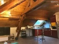 TASSIN : appartement 60m2 mansardé