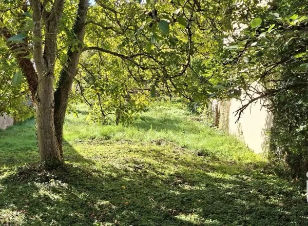 Terrain 615 m²