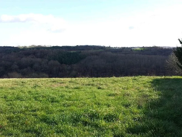 Terrain en individuel 9100 m²