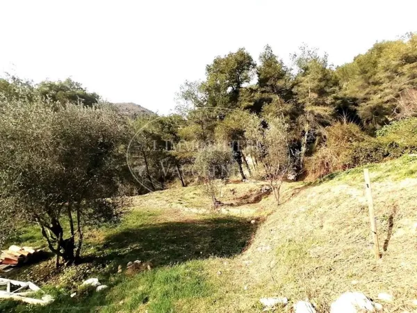 Terrain constructible 2550 m²