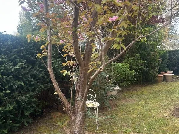 Appartement 2 pièces 60m2 — Jardin