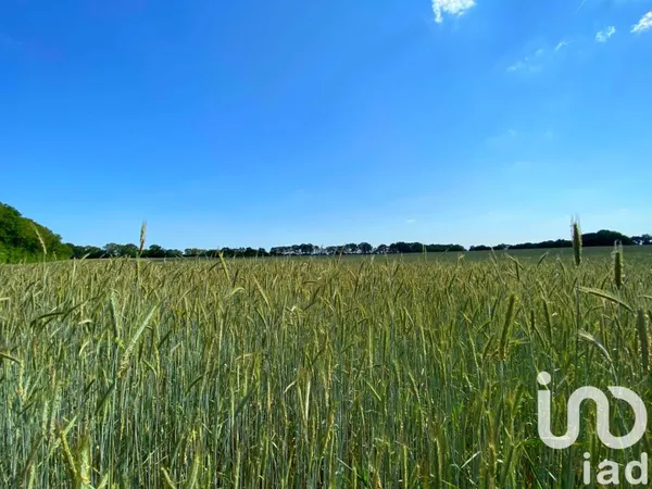Terrain 368685 m²