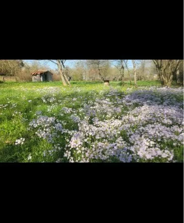 Beau Verger dans le Jura