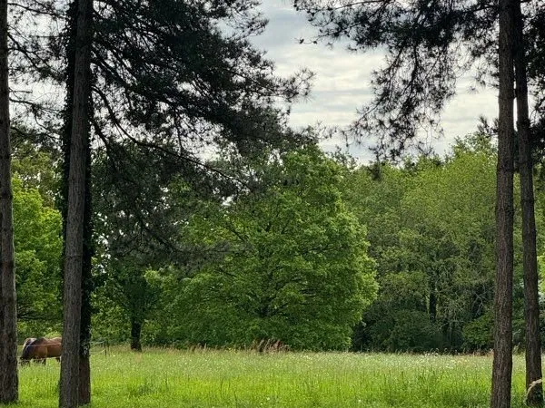 🐴 Location de pré à Oudon (44521)