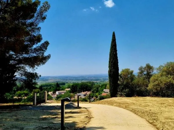 Terrain