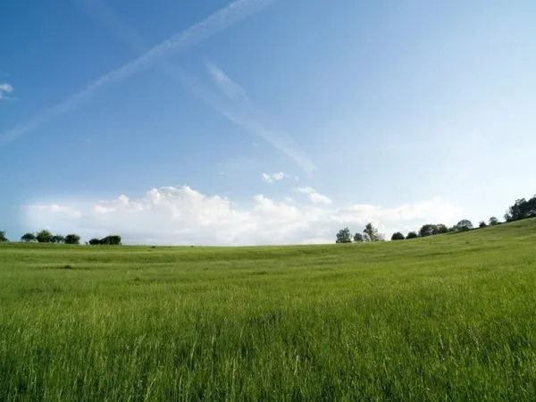 Terrain 388 m²