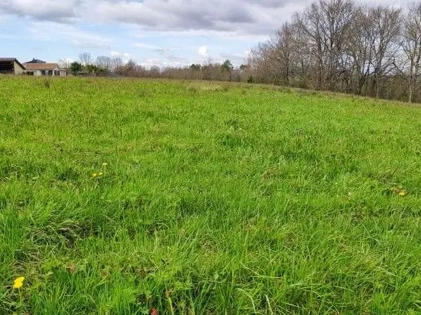 Terrain 2306 m²