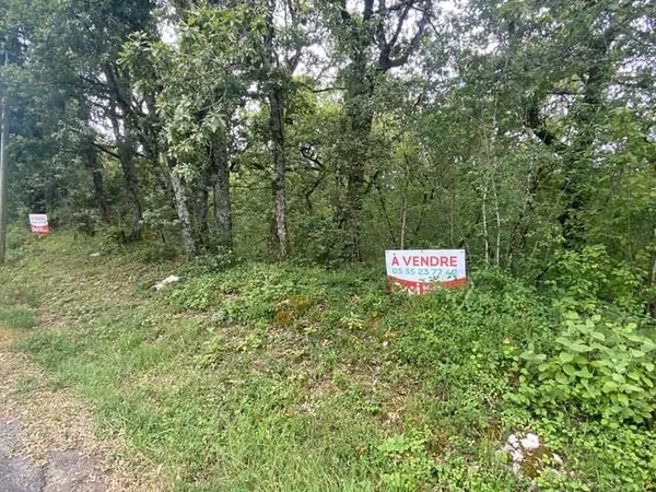Terrain 2781 m²