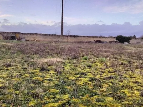 Terrain constructible Neuville 940m2
