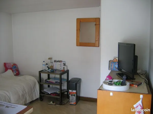 Grenoble centre chambre meublée wifi 300 e