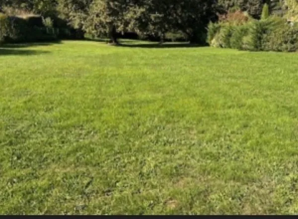 Terrain 362 m²