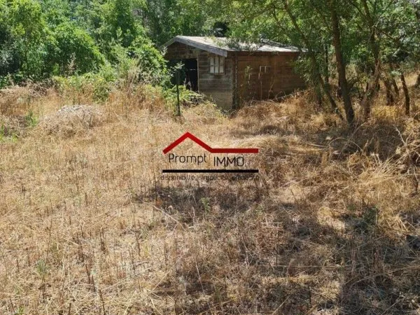 Terrain 5787 m²