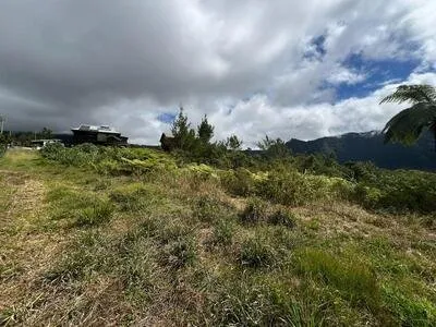 Vente Terrain 5120 m2 à Plaine des Palmistes