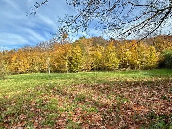 Terrain 4799 m²