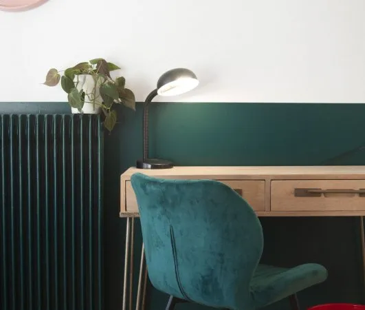 Loue chambre dans appartement